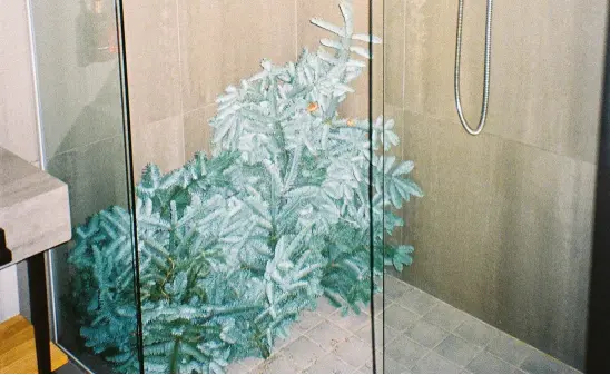 Top 10 Shower Hinges You Didn't Know You Needed